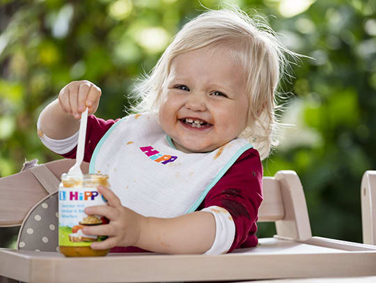 Hipp vast voedsel 540x407